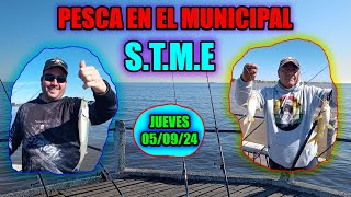 PESCA EN EL MUNICIPAL  STME  Pescamos en el Espigón Municipalizado de Ensenada [upl. by Owen]