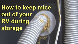 How To Keep Mice Out Of Your RV During Storage [upl. by Raskin]