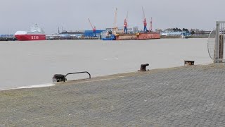 AmerikaHafen Steubenhöft Cuxhaven Live Webcam Livestream [upl. by Oneil]