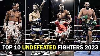 TOP 10 Undefeated Fighters 2023 [upl. by Kcirneh836]