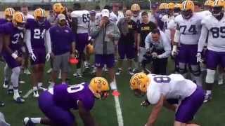 Big Cat Drill gets testy at LSU [upl. by Milak849]