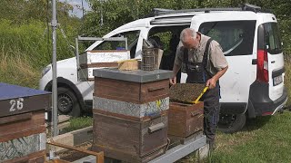 Zu Besuch bei einem Imker aus Neubrandenburg [upl. by Ietta]