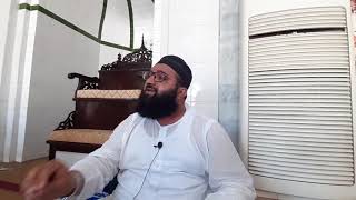 surah shams in beautifull voice by qari hammad ullah sajid 10 4 2019 [upl. by Yemarej965]