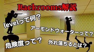 Backroomsに登場する用語解説【Backrooms解説】 [upl. by Manard]