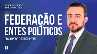 Organização do Estado Federação e Entes Políticos  Prof Rodrigo Perin [upl. by Kerianne]