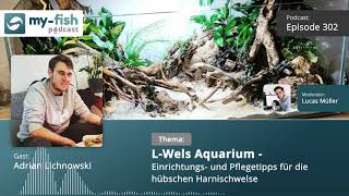 myfishorg  LWels Aquarium  Einrichtungs amp Pflegetipps für die Harnischwelse Adrian Lichnowski [upl. by Aicener]