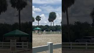 Me and Bensons entrance to our first jump on course Benson was so good yesterday IEA [upl. by Meara]