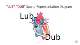 STUDY OF PHONOCARDIOGRAM [upl. by Gies]