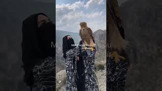 صيد العقاب 🦅Booted Eagle 🦅العقاب بوتيد 🦅 [upl. by Yhtommit]