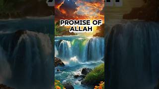 PRomise of Allah islam shots [upl. by Bishop]