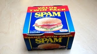 Spam amp Spamburger [upl. by Yanal436]