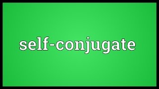 Selfconjugate Meaning [upl. by Illehs802]