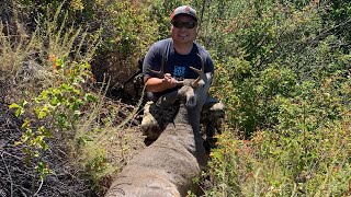 A Zone Deer Hunting Success  Backpacking in Deep into the Wilderness in California [upl. by Yamauchi]