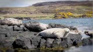 Hebridean Island Cruises Film [upl. by Navannod]