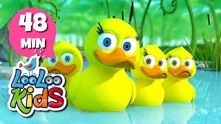 Five Little Ducks  THE BEST Nursery Rhymes and Songs for Children  LooLooKids [upl. by Mullane]