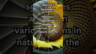 Natures Code Fibonacci Sequences in Leaves Flowers and Pine Cones nature [upl. by Regina]