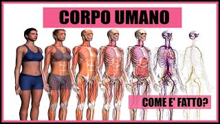 Il Corpo Umano Come è fatto Riassunto e spiegazione [upl. by Rodenhouse963]