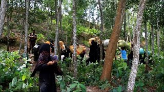 Rohingya fleeing Myanmar for lives UN says 3000 left [upl. by Ydualc26]