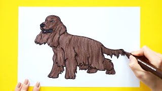 How to draw a Cocker Spaniel Dog [upl. by Cornwell]