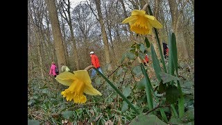 Sur les chemins de randonnée  Nord Pas de Calais [upl. by Dorella560]