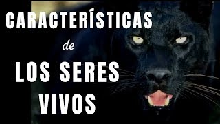 CARACTERÍSTICAS DE LOS SERES VIVOS [upl. by Oisacin]