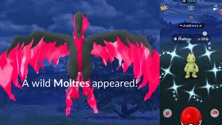 Galarian form moltres surprisely got it pokemongo moltres galarianmoltres [upl. by Isleana684]