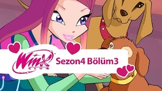 Winx Club  4 Sezon 3 Bölüm  Dünyadaki Son Peri  TAM BÖLÜM [upl. by Adiuqram263]