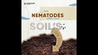 How Nematodes Affect Your Soils Life Cycle [upl. by Dimond501]