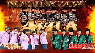 Los Avila Los Traileros Del Norte Los Indomables De Cedral Sus Mejores Canciones Mix 2024 [upl. by Landsman225]