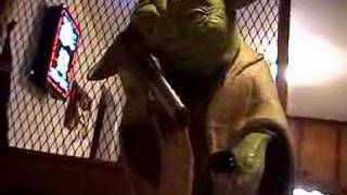 Drunk Yoda [upl. by Norbie]