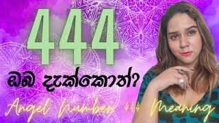 444 නිතර දකිනවද ANGEL NUMBER 444 MEANING [upl. by Denby]