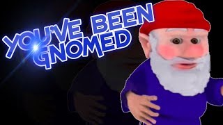 YOUVE JUST BEEN GNOMED MEME Gnome meme [upl. by Viridissa]