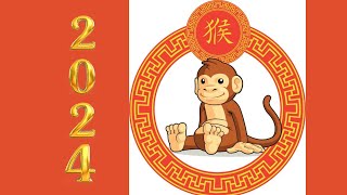 Monkey lucky color 2024 Magic Meets Harmony [upl. by Lavern]