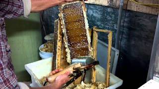 How To Make Honey [upl. by Low]