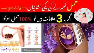 Top 3 Early Pregnancy Symptoms  Hamalki Alamat In UrduHindi  Implantation Symptoms by pregno [upl. by Akelam551]