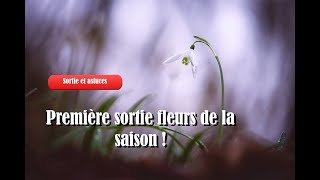 S5E04 Ma première sortie fleurs 2024 [upl. by Wylde]