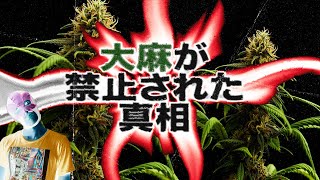 【闇深】なぜ禁止にされた？大麻の歴史を徹底解説。胸糞な真実 [upl. by Nawrocki]