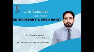 Heterospory and Seed Habit in Pteridophytes [upl. by Somisareg]