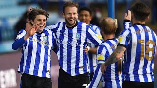 Sheffield Wednesday v Cardiff City highlights [upl. by Tracay261]