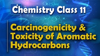 class 11 physics chapter 6  Work Energy and Power 01  Introduction  Formulae for Work IIT JEE [upl. by Acirretal]