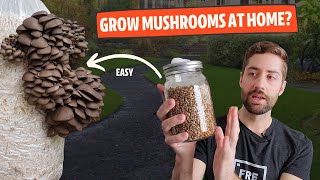 How To Get Started Growing Mushrooms At Home From EASY to HARD [upl. by Bacon650]