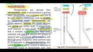 Phospholipids Terpenes Steroids and Prostaglandin biology molecule education [upl. by Ahcmis]