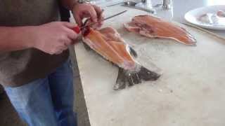 How to Fillet Brown Trout  Tips and Techniques by Knifetechnz [upl. by Hgielanna]