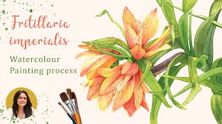 Painting an orange flower with watercolours Fritillaria imperialis or Kaiser’s crown [upl. by Friedlander428]