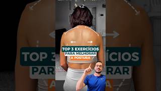 TOP EXERCÍCIOS PARA POSTURA [upl. by Magnien]