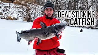 Deadsticking Catfish on Ice [upl. by Autry]