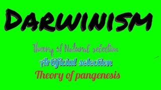 Darwinism  Theories of evolution Theory of pangenesis Artificial selection Natural selection [upl. by Lady484]