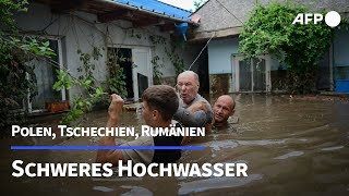 Schwere Überschwemmungen in Polen und Tschechien  AFP [upl. by Etiuqal237]