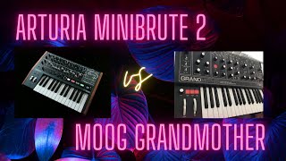 Arturia Minibrute 2 vs Moog Grandmother sound demo Part 2 [upl. by Guntar]