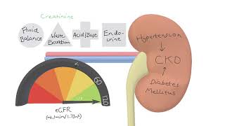 CKD Made Simple  Chronic Kidney Disease Symptoms Causes Investigations [upl. by Flemings]